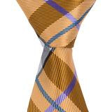 XN26 - Brown with Blue and White Plaid Matching Tie