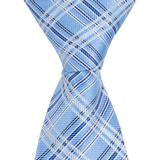 XB38 - Light Blue Plaid Matching Tie