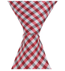  ST7 - Skinny Tie Red/White Checkered