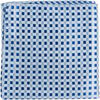 B21 - Blue and Silver Gingham Matching Tie