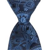 B19 - Blue and Black Paisley Matching Tie